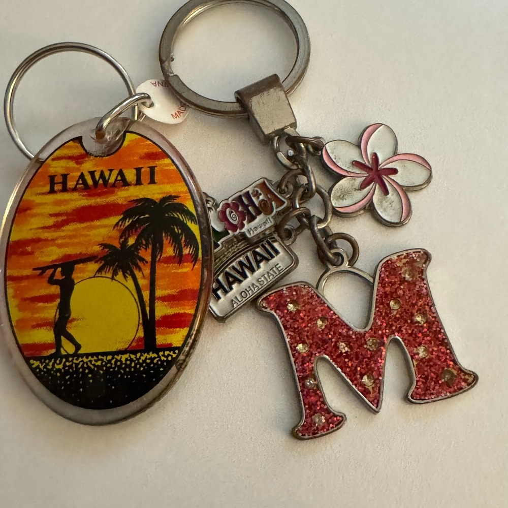 Hawaii Souvenir Keychain Lot Sunset Palm Tree Letter M Flower Charm